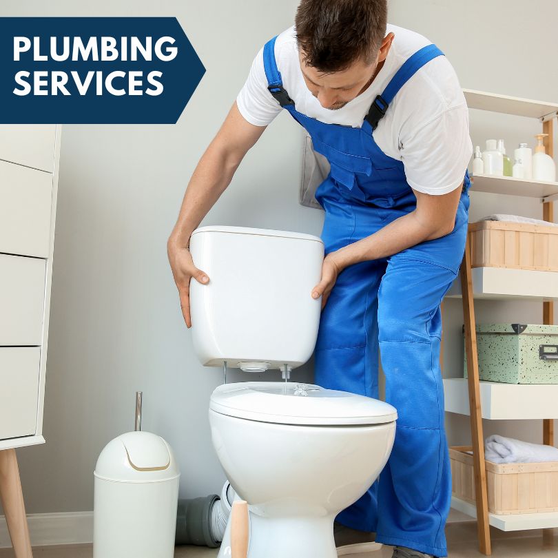 Plumbing Company in Pleasant Lake, MI